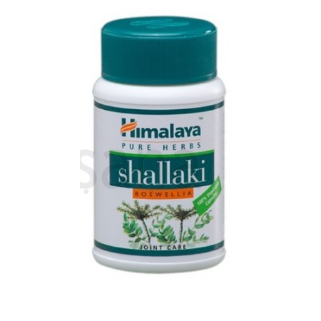 Shallaki- Himalaya