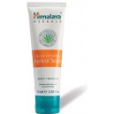 Gentle Exfoliating Apricot Scrub