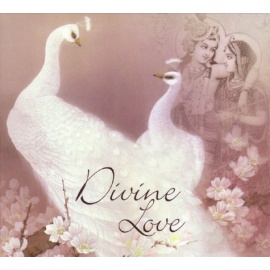 Divine Love 